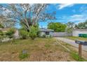 Quaint home featuring a well-kept lawn, mature tree, mailbox, and a driveway at 10208 N 23Rd St, Tampa, FL 33612