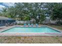 Sparkling in-ground pool surrounded by patio, lounge chairs and lush trees at 14626 Wildwood Dr, Largo, FL 33774