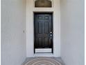 Close-up of a classic black front door framed by neutral-toned walls and a welcome mat at 19910 Wyndmill Cir, Odessa, FL 33556