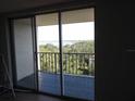Balcony overlooking trees and water, accessible through sliding glass doors at 2699 Seville Blvd # 802, Clearwater, FL 33764