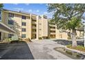 Exterior view of a condo building with balconies, large tree, and convenient parking spaces at 13618 Greenfield Dr # 105, Tampa, FL 33618