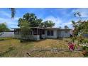 Back exterior of home and screen porch with grassy yard and mature tropical landscaping around perimeter at 3925 W Eden Roc Cir, Tampa, FL 33634