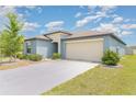 Inviting single-story home with a well-maintained lawn and a spacious two-car garage at 7305 Tiger Trail Ct, Sun City Center, FL 33573