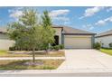 Single-story home with a well-manicured lawn and a spacious two-car garage at 7305 Tiger Trail Ct, Sun City Center, FL 33573
