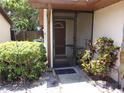 Inviting front porch with a screen door, complemented by lush greenery and decorative plants at 2025 Dover Ct, Oldsmar, FL 34677