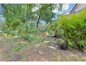 Lush backyard with beautiful plants and serene pond views for relaxation at 330 Woods Landing Trail, Oldsmar, FL 34677