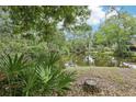 Scenic pond view with lush greenery creating a tranquil and private setting at 330 Woods Landing Trail, Oldsmar, FL 34677