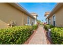 Exterior view of the home showing the walkway between units and lush landscaping at 4605 Casswell Dr, New Port Richey, FL 34652