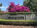 The Estates of Pebble Creek community sign with vibrant bougainvillea and lush greenery at 9535 Norchester Cir, Tampa, FL 33647