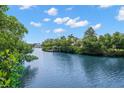 Scenic waterfront view showcasing tranquil canal waters surrounded by mature trees and lush vegetation at 419 S Shore Crest Dr, Tampa, FL 33609