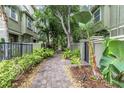 Beautiful walkway leading to townhomes with lush tropical landscaping, and privacy fencing at 7130 102Nd Ln, Seminole, FL 33772
