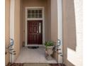 Elegant front entryway featuring a stylish door, decorative columns, and a welcoming ambiance at 11021 Silver Dancer Dr, Riverview, FL 33579