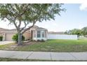 Charming single-Gathering home featuring a lush front lawn, mature trees, and a freshly painted exterior at 11021 Silver Dancer Dr, Riverview, FL 33579