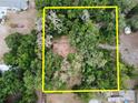 Aerial view of the property highlighting its dense tree coverage and proximity to neighboring houses at 4720 Coats Rd, Zephyrhills, FL 33541