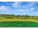 Expansive backyard with lush green grass, privacy landscaping, and a clear view of the horizon at 9734 Branching Ship Trce, Wesley Chapel, FL 33545