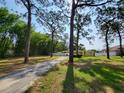 Pleasant single-story home featuring a well-manicured lawn and a serene backdrop of lush trees at 12907 N 53Rd St, Temple Terrace, FL 33617