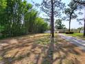 Expansive backyard surrounded by lush greenery, offering a private and tranquil outdoor space at 12907 N 53Rd St, Temple Terrace, FL 33617
