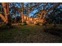 Beautifully landscaped front yard featuring mature trees surrounding the charming home at dusk at 420 Hanby St, Crystal Beach, FL 34681