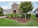 Well-maintained landscaping featuring lush greenery and decorative mulch beds at 10625 Cardera Dr, Riverview, FL 33578
