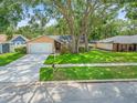 Charming single-story home with lush lawn and mature trees, providing shade and curb appeal at 16015 Glen Haven Dr, Tampa, FL 33618