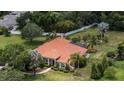 Expansive aerial view of a secluded residence featuring a clay tile roof and mature landscaping at 16124 Suncrest Shores Dr, Odessa, FL 33556