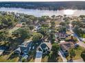 Scenic aerial view of a waterfront community with lush greenery and stunning lake views at 3047 Lake Padgett Dr, Land O Lakes, FL 34639