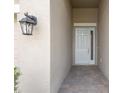 Elegant front door with stone-paved walkway and a modern exterior light fixture enhancing curb appeal at 8514 Dove Bog Ter, Parrish, FL 34219