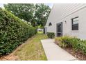 The side yard has manicured hedges that create a private walkway to the back of the home at 4032 Salem Square Ct, Palm Harbor, FL 34685