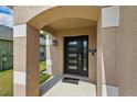 Modern front door featuring glass panels, set within a covered porch of a home's welcoming entrance at 6623 Northhaven Ct, Riverview, FL 33578