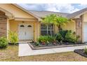 Welcoming front entrance featuring a double door, a well-landscaped garden, and mature palms at 1426 Buckner Rd, Valrico, FL 33596