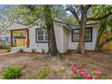 Exterior view of charming white home with dark trim, mature landscaping, and flowering plants at 8704 N Brooks St, Tampa, FL 33604