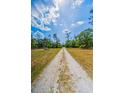 Long private driveway leading to a secluded home, surrounded by trees and blue skies at 8755 Ogleby Creek Rd, Myakka City, FL 34251