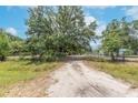 A view of the dirt driveway, surrounded by mature trees and natural landscape at 12009 Glenshire Dr, Riverview, FL 33579