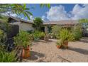 Backyard featuring tropical landscaping and flower pots perfect for relaxing and enjoying the weather at 13511 Avista Dr, Tampa, FL 33624