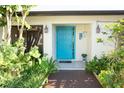 Beautiful front entrance featuring a blue door, brick pathway, and lush landscaping at 13511 Avista Dr, Tampa, FL 33624