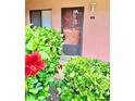 Condo entrance with neat landscaping, including a beautiful hibiscus bush, providing a charming welcome at 141 Lakeside Dr, Oldsmar, FL 34677