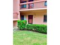 Inviting condo entrance showcasing well-maintained lawn and colorful hibiscus for a warm welcome at 141 Lakeside Dr, Oldsmar, FL 34677