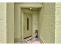 Inviting front entryway with a decorative welcome mat and neutral-colored textured walls at 2816 Manor Hill Dr, Brandon, FL 33511