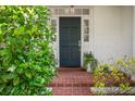 Close-up of the front door with brick steps, surrounded by greenery and potted plants at 3619 W Leona St, Tampa, FL 33629