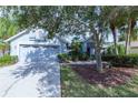 Inviting single-story home showcasing a well-maintained lawn and two car garage at 9220 Dayflower Dr, Tampa, FL 33647