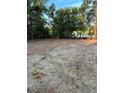 A spacious cleared lot showcases the potential building site near a water view at 10030 Lake Dr, Weeki Wachee, FL 34613