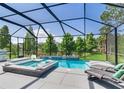 Beautiful screened pool and spa with lounge chairs overlooking a tranquil lake setting at 11320 Lazy Hickory Ln, Tampa, FL 33635