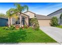Beautiful single-Gathering home with green lawn, lush landscaping, and two palm trees enhancing the curb appeal at 15507 Caynor Ash Ln, Sun City Center, FL 33573
