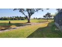 View of the backyard with green grass and tree at 2017 Skimmer W Ct # 413, Clearwater, FL 33762