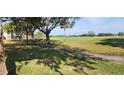 Expansive view of the golf course with mature trees and a cart path through the green at 2017 Skimmer W Ct # 413, Clearwater, FL 33762
