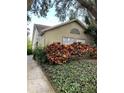 Charming single-story home with olive siding, well-kept landscaping, and mature trees at 2390 Bentley Dr, Palm Harbor, FL 34684