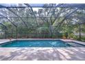 Enjoy this inviting screened-in pool surrounded by a spacious patio and lush greenery for privacy at 3323 Anna George Dr, Valrico, FL 33596