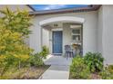 Inviting front porch with stylish seating, a vibrant blue door, and lush landscaping at 7225 Ronnie Gardens Ct, Tampa, FL 33619