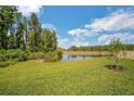Picturesque pond view surrounded by lush greenery and mature trees on a sunny day at 10945 Sundrift Dr, Tampa, FL 33647