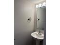 Powder room features a pedestal sink, updated fixtures and a decorative mirror at 11102 Summer Star Dr, Riverview, FL 33579